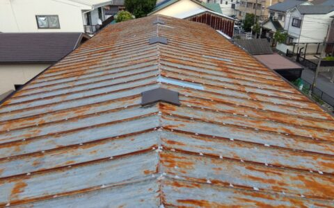 IMG_2024-07-06-15-54-12-751